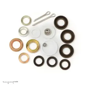 20-1084 Bedford 23 1 Monark Eh333 Eh300 Rebuild Kit Replacement For Graco 218135