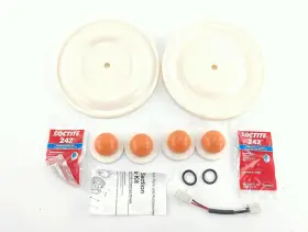 D0b525 Graco New Pump Service Kit