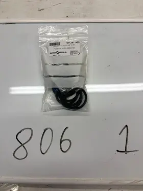 129-251-993 Sames Kremlin Spray Gun Pocket Of 10 Seals 909130524