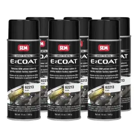 62213 Sem Ez Coat Black 12 Oz 6 Pack