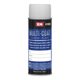 Sem 646786610035 Multi-coat 61003 Aerosol Blank 16 Oz Use With Enamel Lacquer Vinyl Re