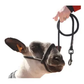 Sullivan 813170027162 Sheep Halter With Snap Lead Black Blackout 1 Count