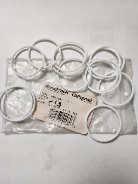 0551951 Titan Teflon O Ring