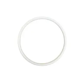 891-373 Titan Ptfe O-ring