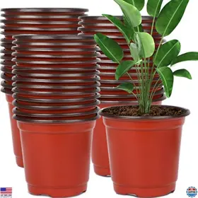 B085vkvx12 Visit The Augshy Store 130-pack 6 Inch Plastic Nursery Pots For Seed Starting Succulents And Seedlings