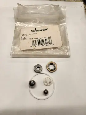 0295916 Wagner Fluid Section Valve Kit For 935 And 945 Pumps