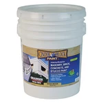 Rae 9622-05 Exterior PAINT,BEIGE,5 Gal. 19NY83 New. Price: $217.16.