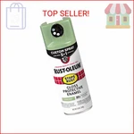 Rust-oleum 384753 Stops Custom Spray 5-IN-1 Paint, 12 Oz, Gloss Laure New. Price: $32.01.