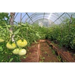 Farm Plastic Supply - 1 Year Uv Resistant 6 Mil Clear Nursery Greenhouse New. Price: $99.99.