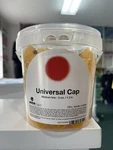 Mtn Universal Spray Paint Cap New. Price: $60.00.