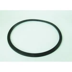 Devilbiss PT-33-1 Lid Gasket For Binks 83C Pressure Tank Ii New. Price: $58.05.