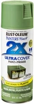 Rust Oleum 12 Ounce Painter's Touch 2X Ultra Cover Satin Leafy Green Spray New. Price: $15.36.