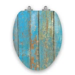 High Gloss Ocean Pier Dock Wood Slow Close Elongated Toilet Seat Nautical Deck New. Price: $56.50.