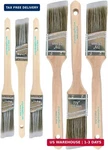 Vermeer Paint Brushes 6-PACK Angle Assorted Sizes For All Latex And New. Price: $14.98.
