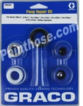 Graco 255204 Pump Repair Kit Oem New. Price: $92.25.