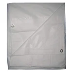 Grainger Approved 5WTN2 Tarp, White, 19.5 Ft L, 14.17 New. Price: $77.93.