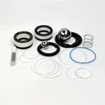 Xtreme 250CC Tfe Rebuild Kit Replacement For Graco 25D-247 New. Price: $370.00.