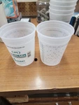 Leaktite Corporation, Quart Multi-mix All Purpose Container, 10PK. New. Price: $19.99.