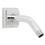 Ppg S-2550 For Speakman Rainier Shower Arm And Flange New. Price: $109.26.