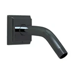 Ppg S-2550-MB For Speakman Rainier Shower Arm And Flange New. Price: $126.65.