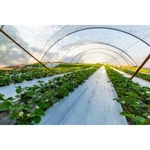 Farm Plastic Supply - 4 Year Uv Resistant 8 Mil Heavy Duty Clear Greenhouse Film New. Price: $999.99.