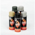 Bright High Temperature Stove, Chimney & Fireplace Paint 12OZ. Aerosol Can New. Price: $22.99.